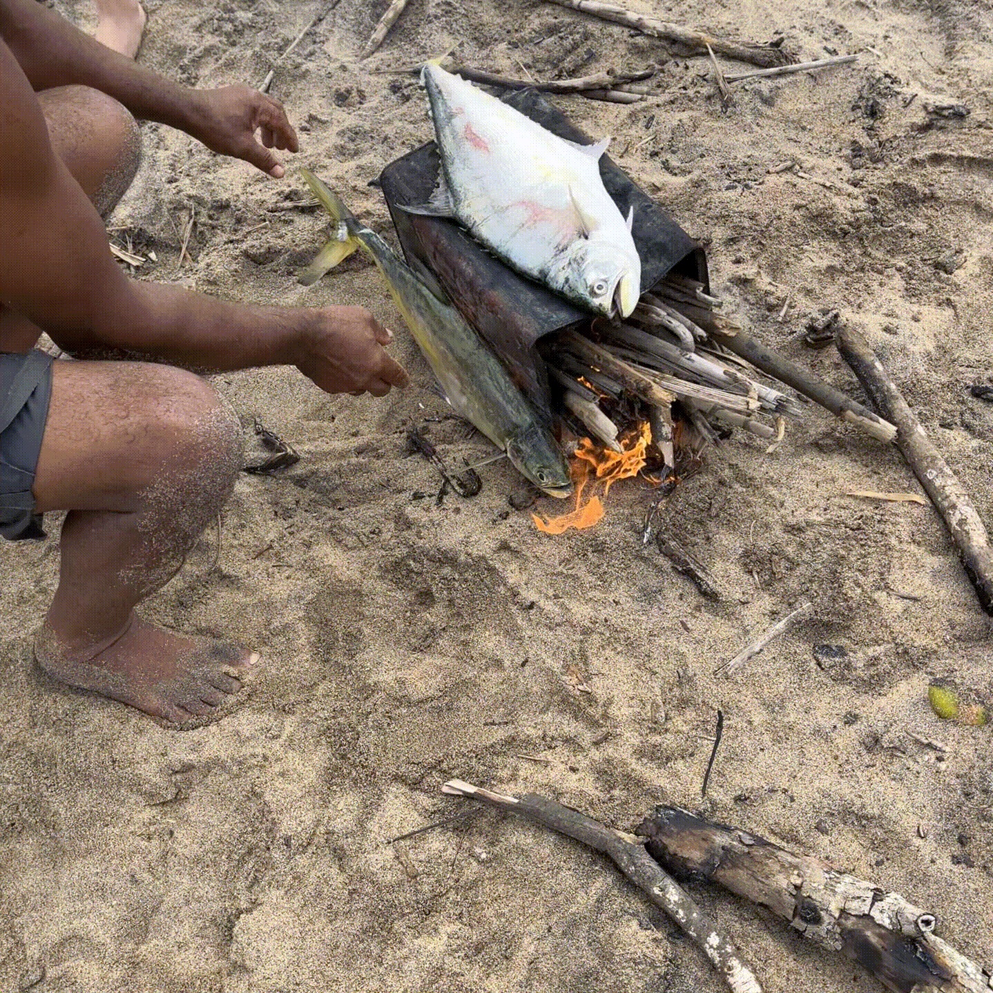 peixe na brasa de lata